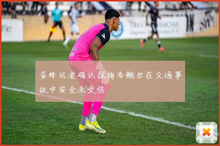 黄蜂记者确认拉梅洛鲍尔在交通事故中安全未受伤