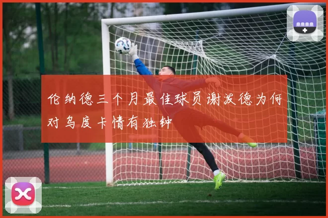 伦纳德三个月最佳球员谢泼德为何对乌度卡情有独钟