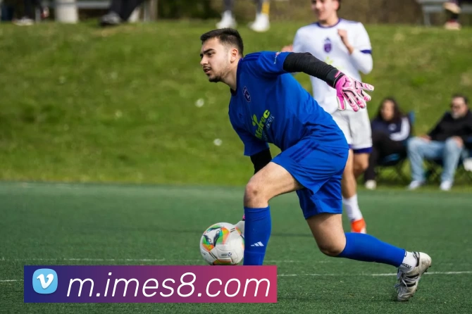 多媒体互动体验