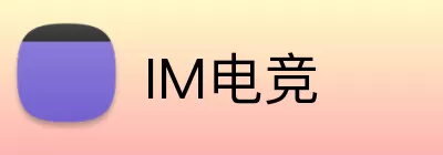 IM电竞 Logo